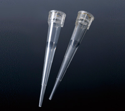 Pipettahegy,szűrő nélküli, steril | Institute of Applied Biotechnologies