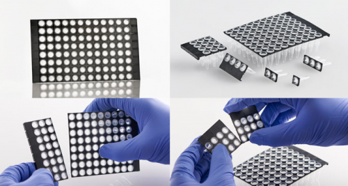 FrameStar Break-2-Ways 96 lyukú plate | Institute of Applied Biotechnologies