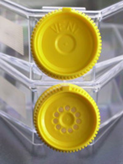 Tissue culture flask 150 cm / filter screw cap, 36 pieces | Techno Plastic Products