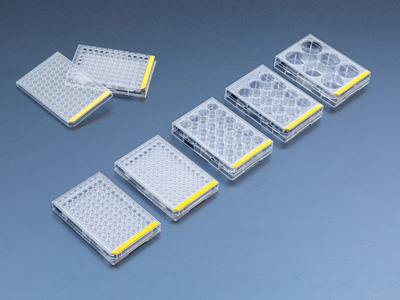 Tissue culture test plate, 48 wells (4 pcs) , 72 pieces | Techno Plastic Products
