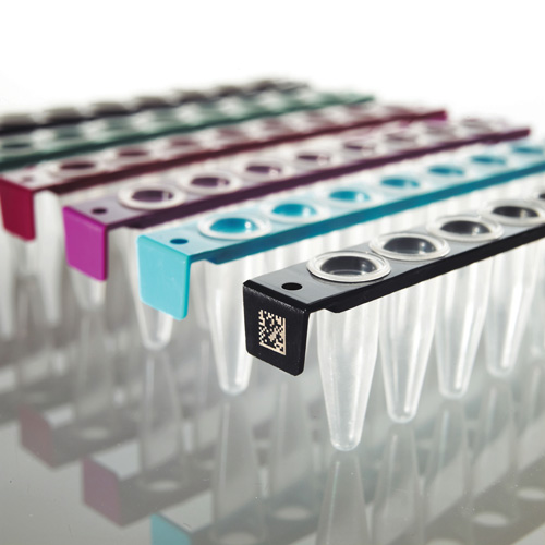 FrameStrip PCR strip lapos tetővel