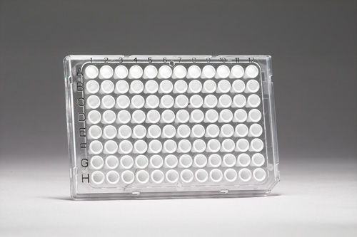 FrameStrip PCR plate LC 480-hoz