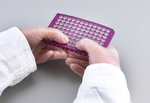 FrameStar Break-A-Way PCR platek